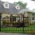 5' Tall Iron Fence
Pet  Fence Doggie Bars
